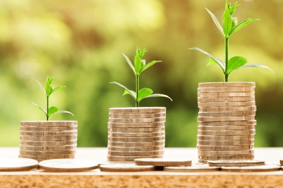 Fondos Común de Inversión: Todo lo que tenés que saber