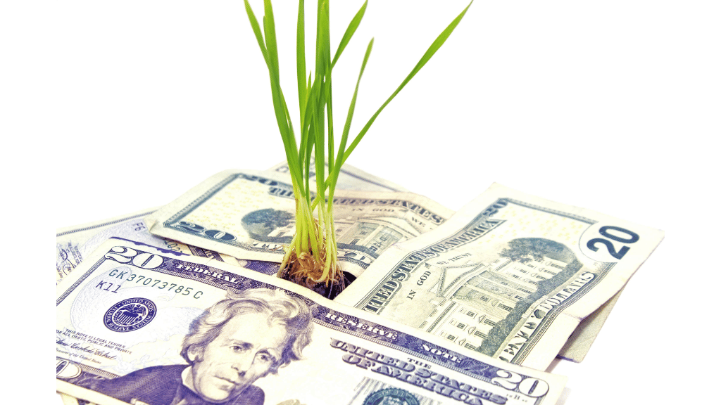 Test del inversor: ¿Cuál es tu perfil de inversor?